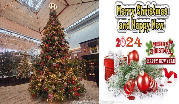MERRY CHRISTMAS & HAPPY NEW YEAR 2022
